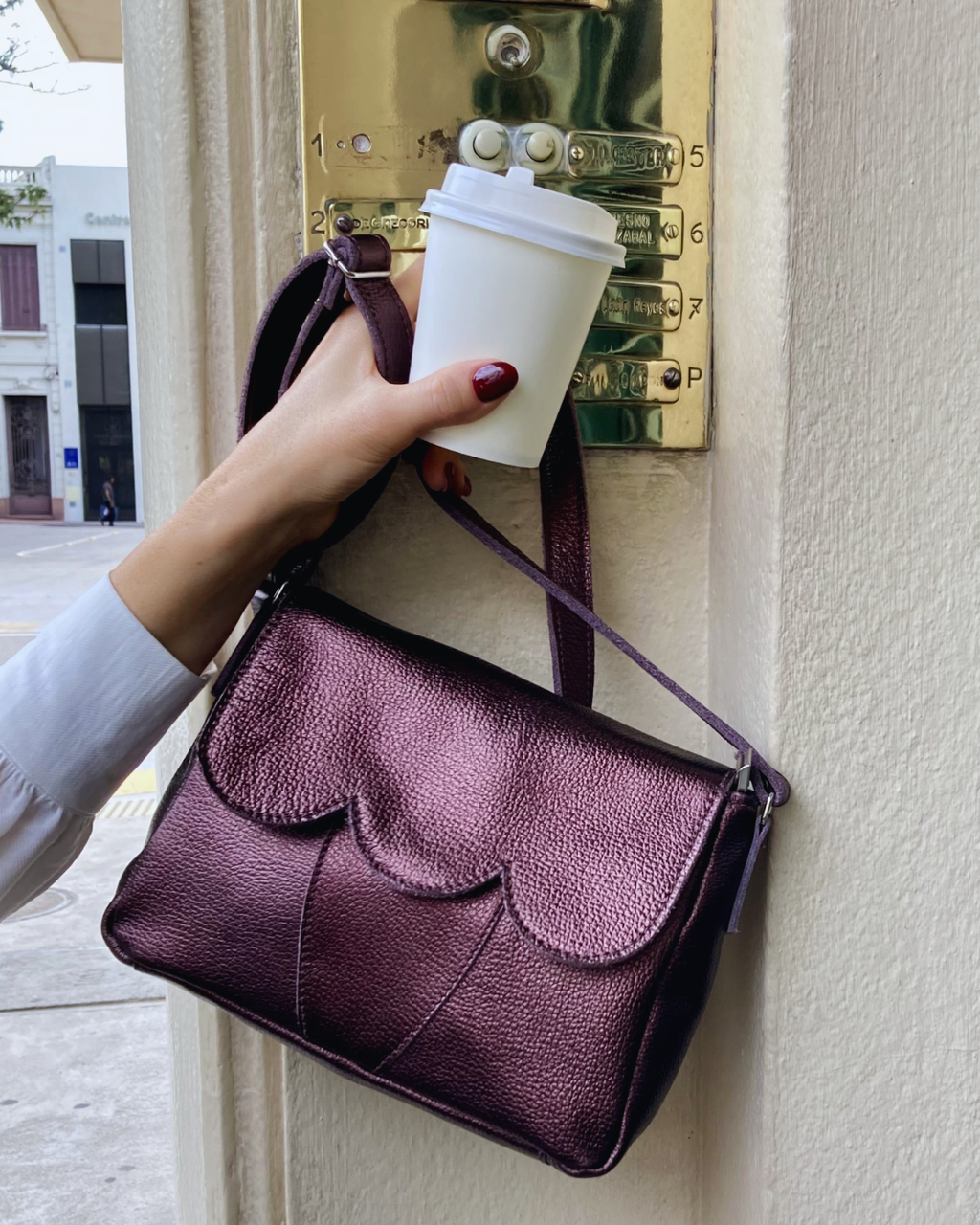 Cartera de cuero SALVO color bordó metalizado